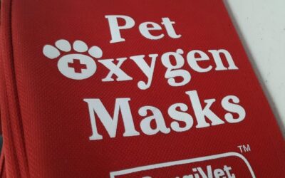 Eno’s Cause: Pet Oxygen Kits Help Avert Tragedy