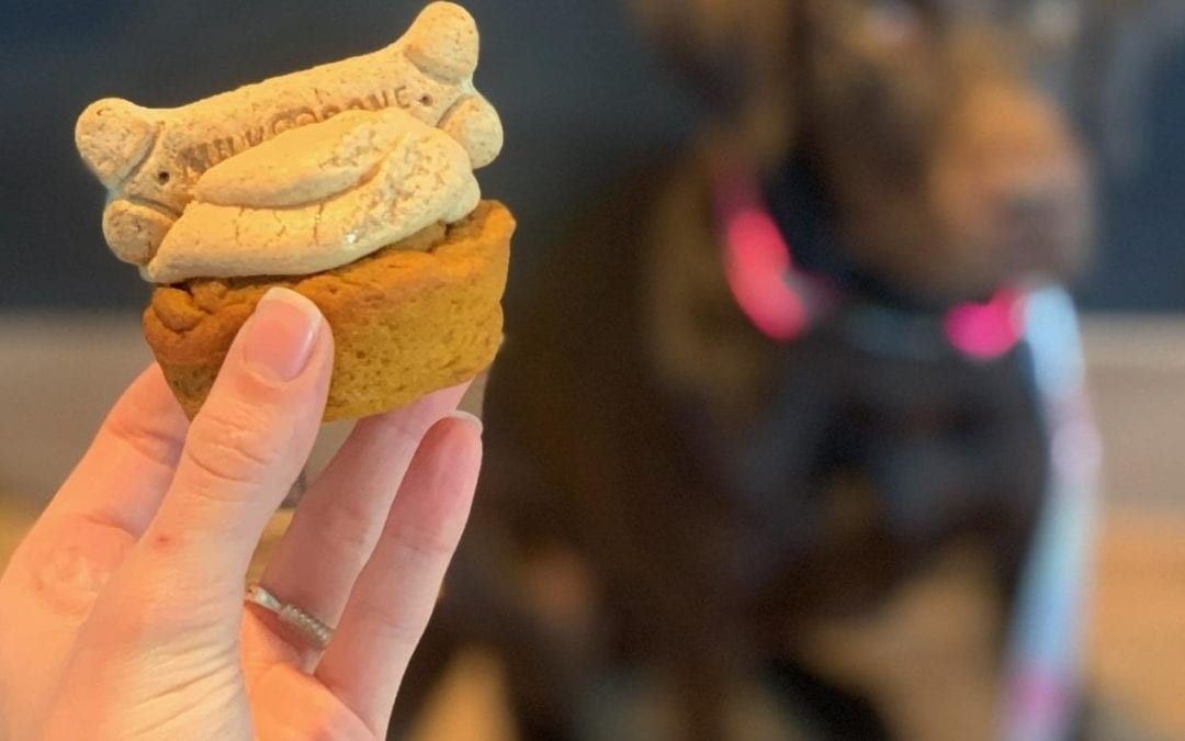 a hand holding a cupcake with a dog