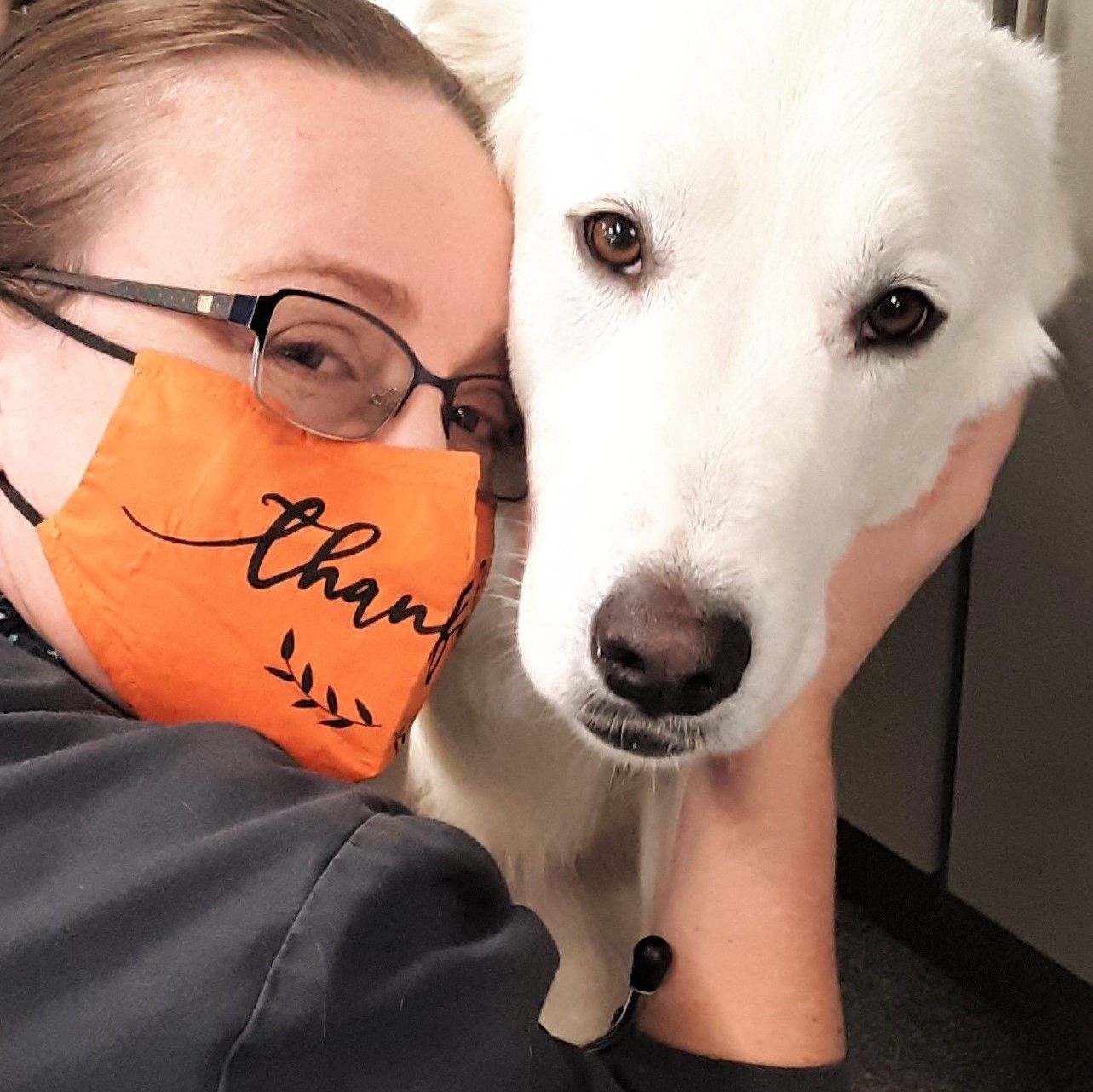 vet wearing a mask and a dog