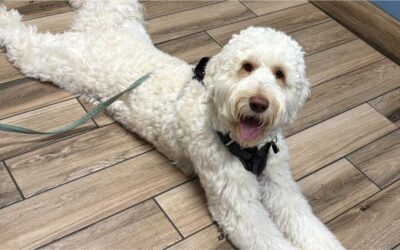 What to Expect at Your First Visit