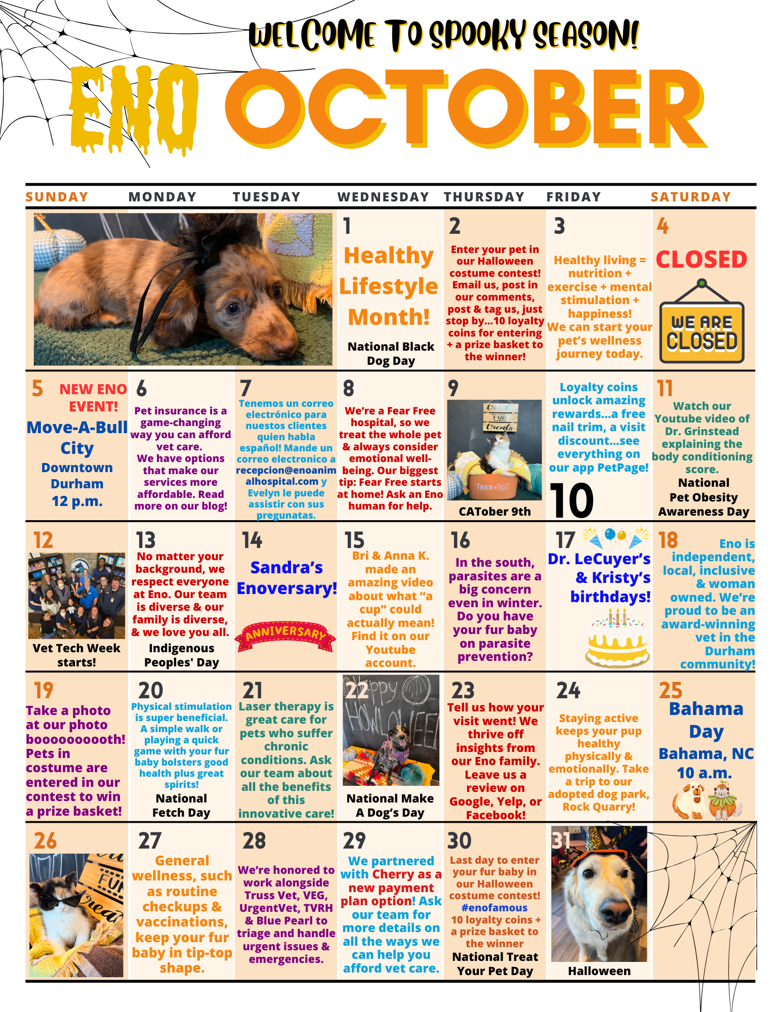 Oct 2025 calendar graphic October 2025 calendar