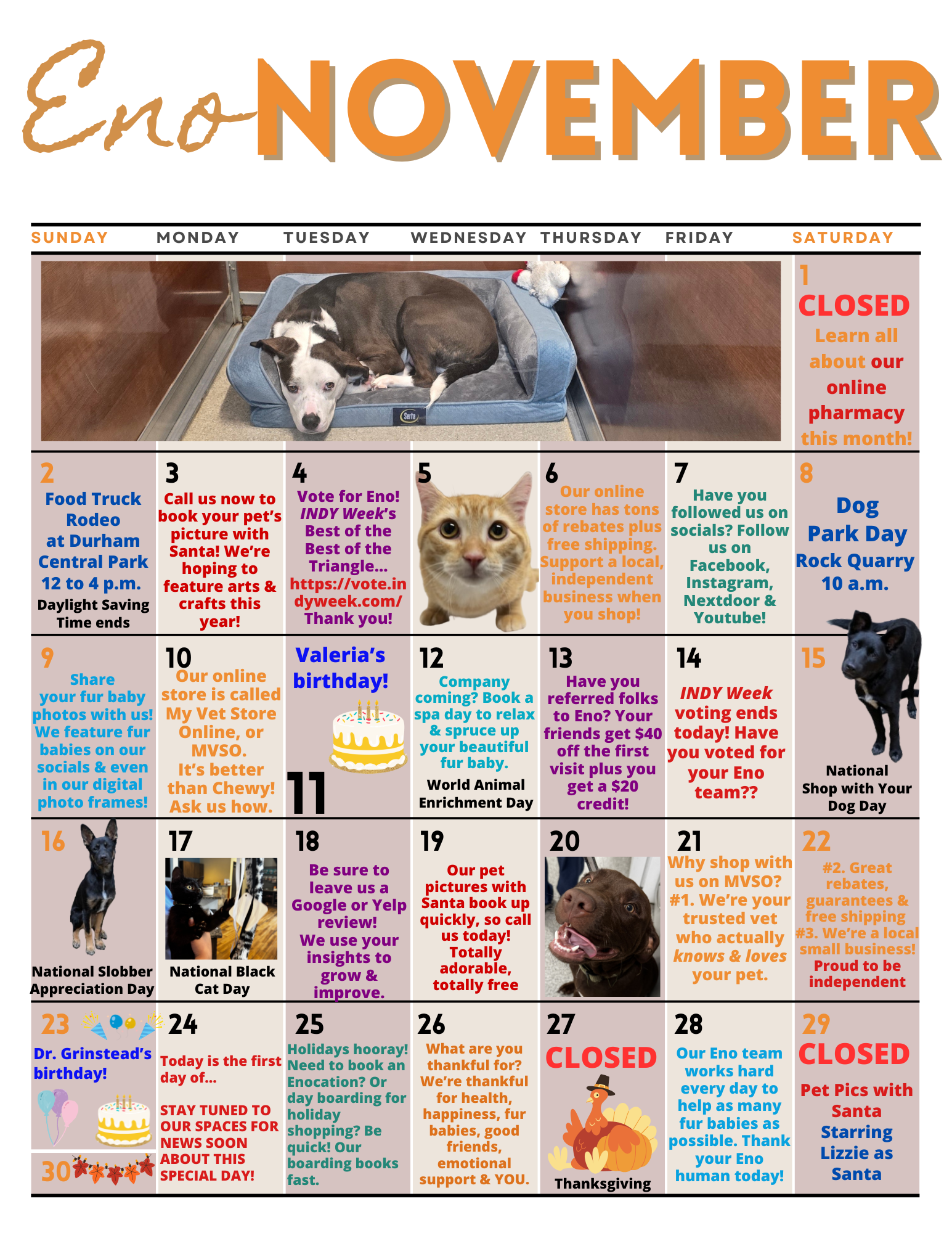 Eno Nov calendar